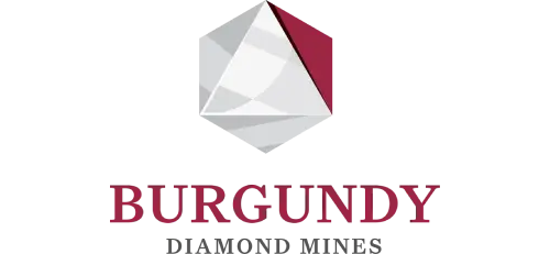 GIS Support for Burgundy Diamond Mines