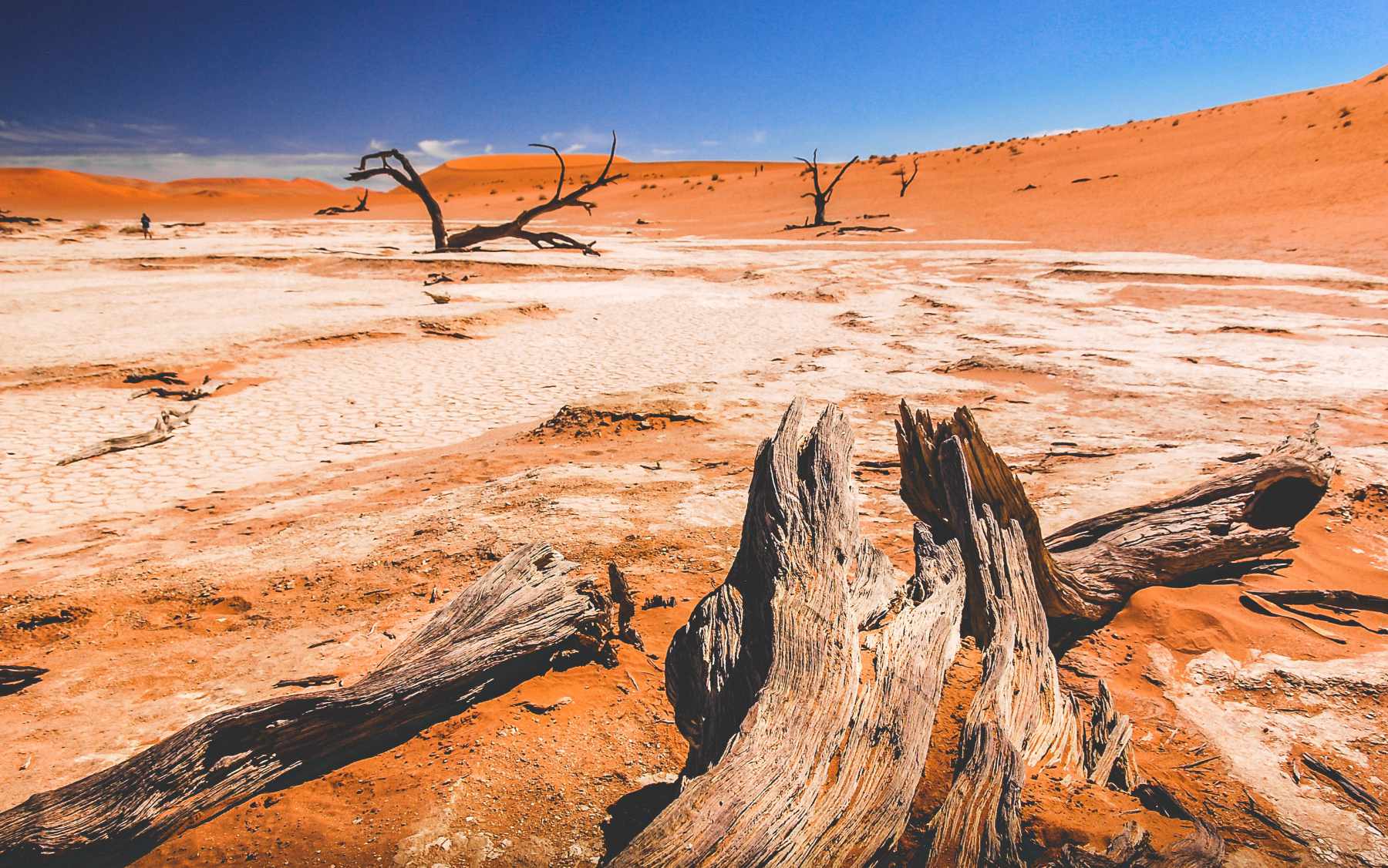 <h4>Deep Yellow</h4>
<p>GIS Pro worked with Deep Yellow Ltd to reorganise their spatial data and deploy a new GIS system relying on our favourite technologies: PostGIS and QGIS.</p>

